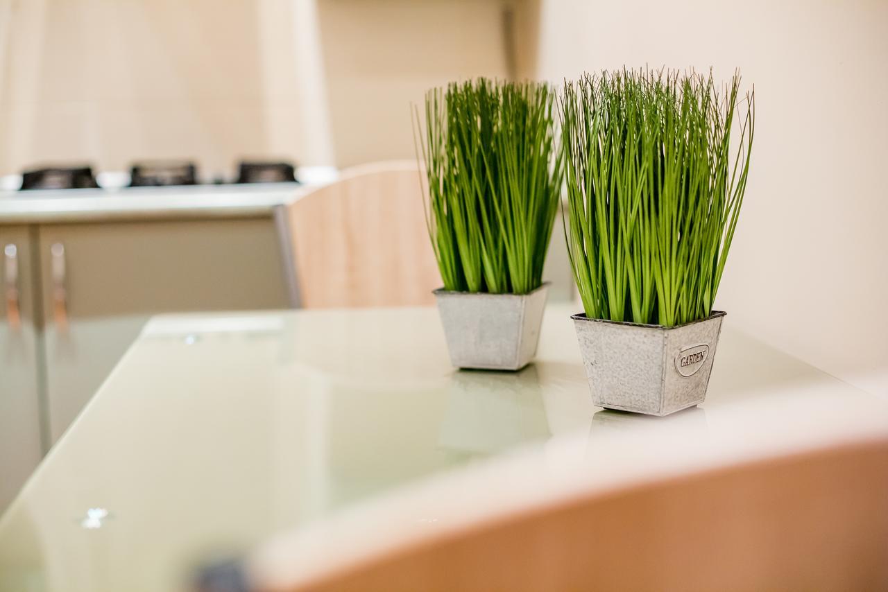 Apartments Alfa Kostyushka 5 リヴィウ エクステリア 写真
